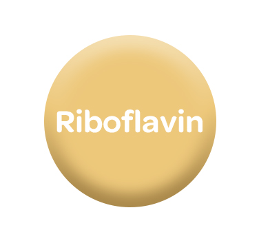 VENIRA, premiový kolagen, pro vlasy, nehty a pleť, Riboflavin