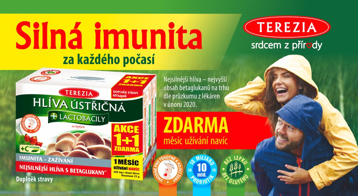 Terezia hlíva ústřičná + lactobacily, imunita, Hlíva ústřičná, šípek, lactobacily
