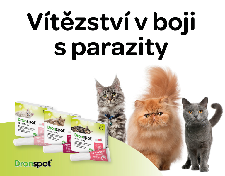 drontal pro kočky proti parazitům