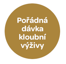 kloubní výživa