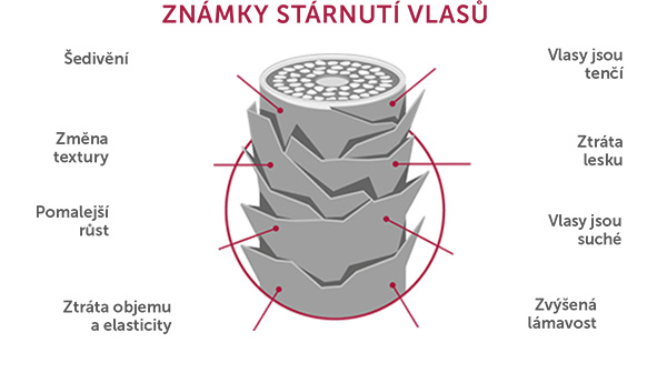 Revalid, Anti-aging Fuid, Chrání vlasy a pokožku hlavy před negativními vlivy, stárnutí vlasů