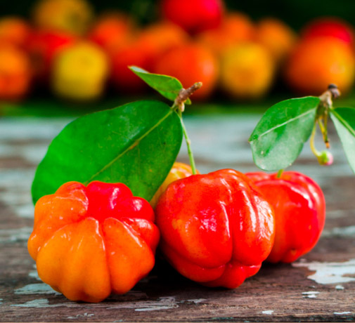 Terezia Vitamin C trio natur, Acerola