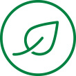 byliny