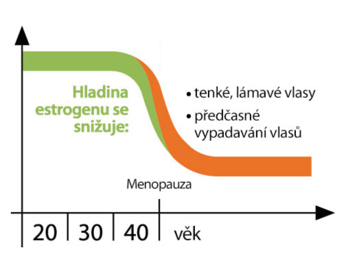 Vypadávání vlasů menopauza