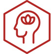 normální psychická činnost, pohoda, Aporosa B-komplex