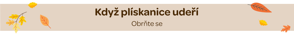 Plýskanice