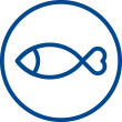esenciální mastné kyseliny, sardel, makrela, sardinka, omega 3