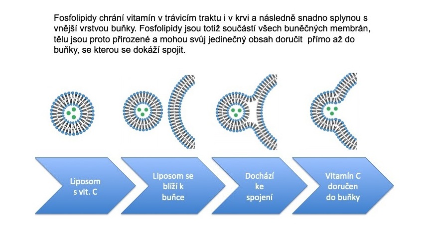 spojení s buňkou