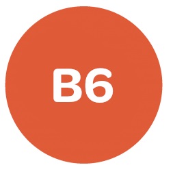 Vitamín B6