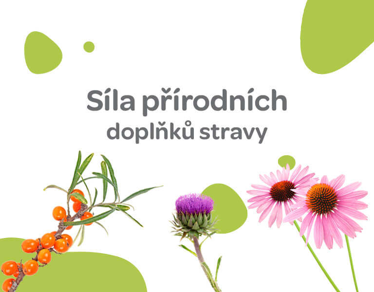 rádce, síla přírody, banner