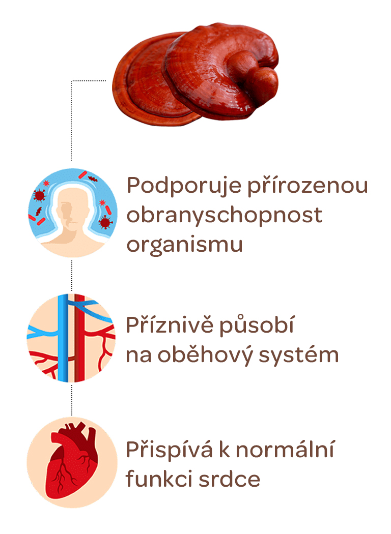 Terezia, Reishi, přírodní péče, péče o cévy a srdce, podporuje obranyschopnost, normální funkce srdce