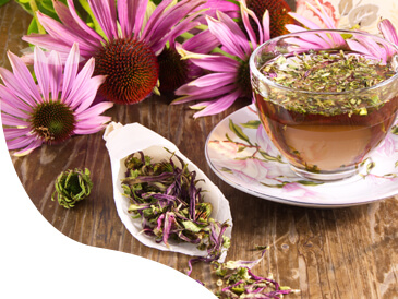 echinacea, GS Echinacea Forte 600 70+20 tablet