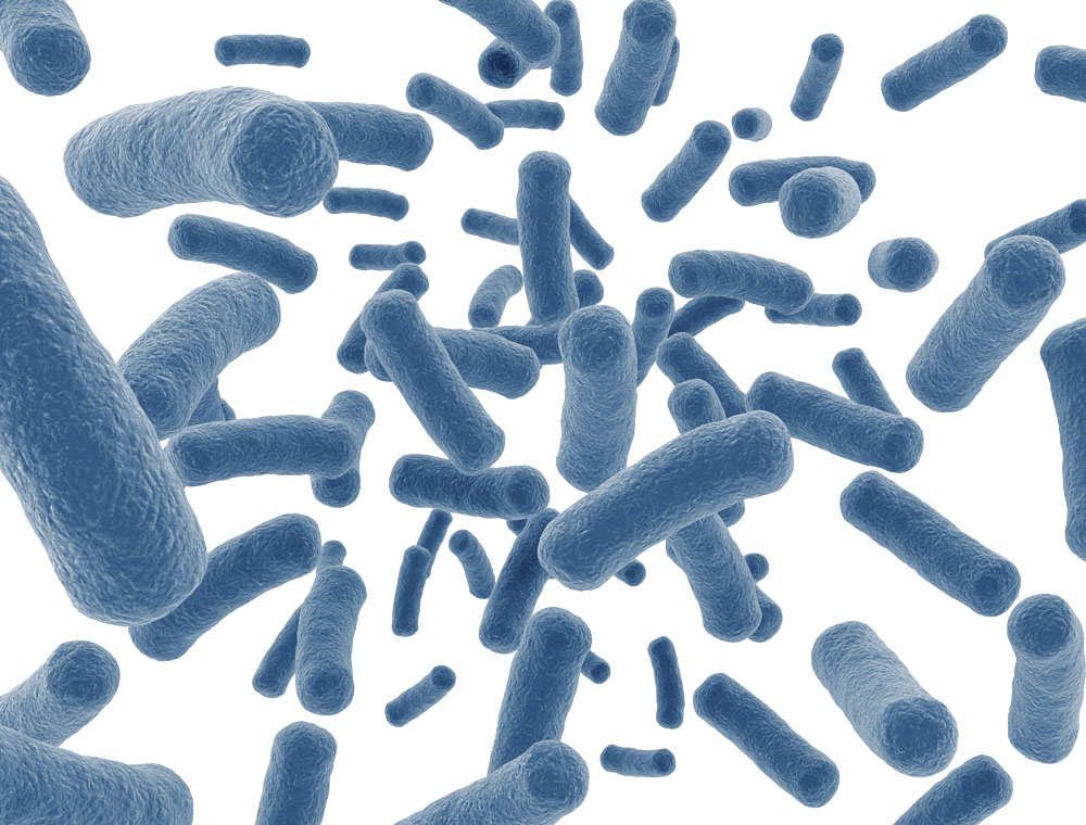 Probiotika