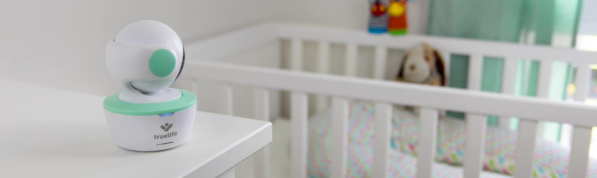 TrueLife NannyCam R360