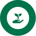 Plantovir