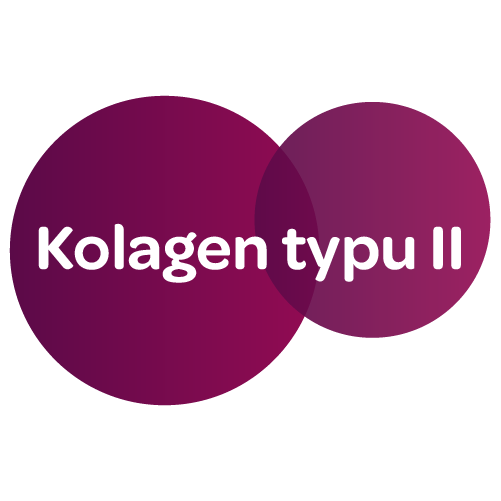 Kolagen typu II