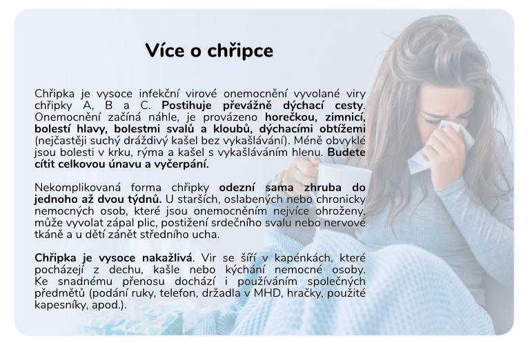 více o chřipce