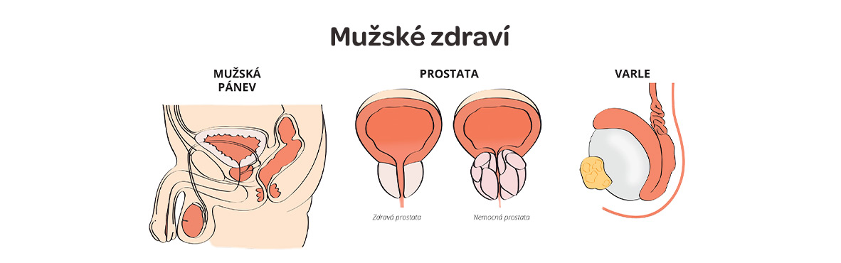 Mužské zdraví