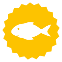 ryba
