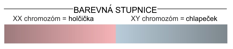 Test pohlaví
