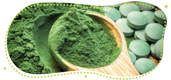 chlorela spirulina