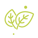Co obsahuje antioxidanty