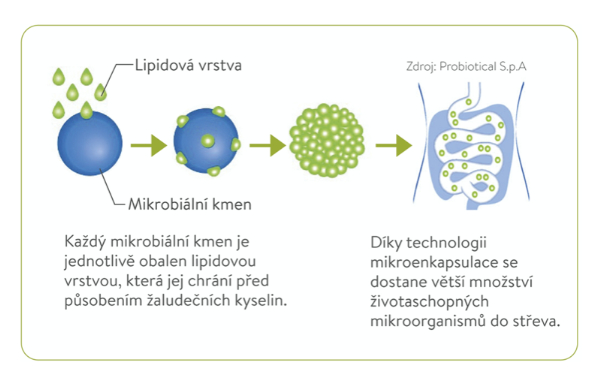 Boiron Osmobiotic Flora Kids