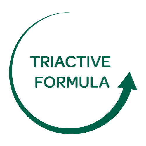 Neoangin, bolest v krku, nachlazení, Triactive formula