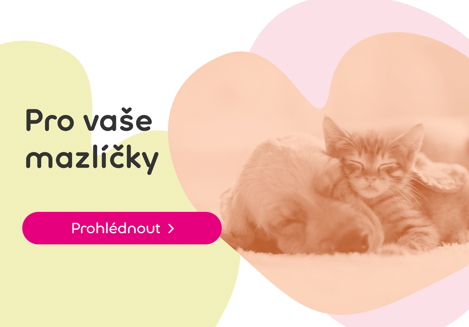 Leták