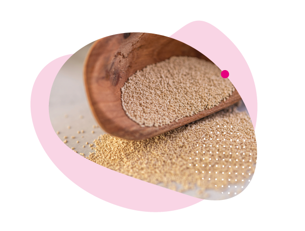 pivovarské kvasnice, kvasnice, vitamin B