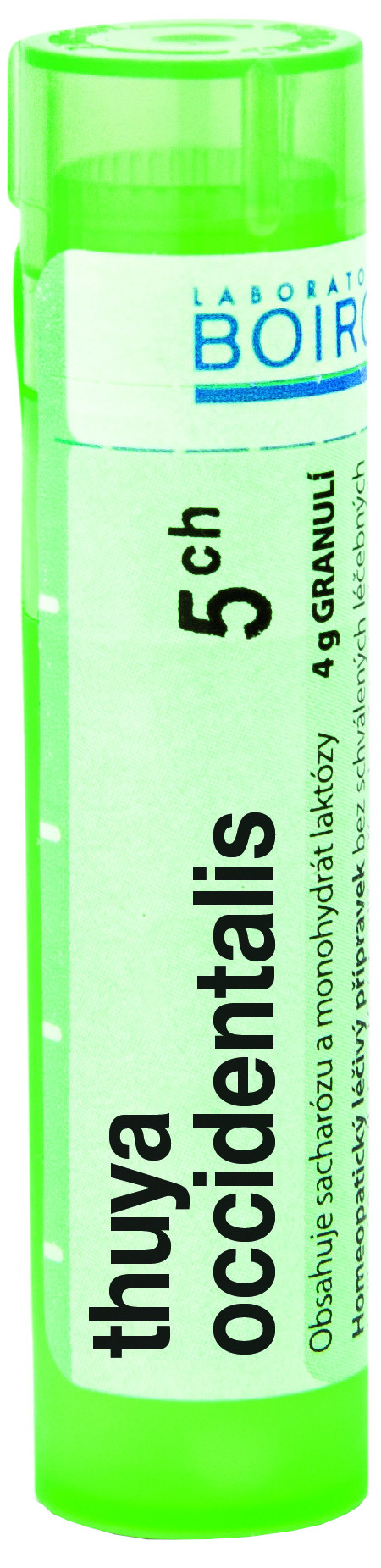 Thuya Occidentalis CH5 granule 4g