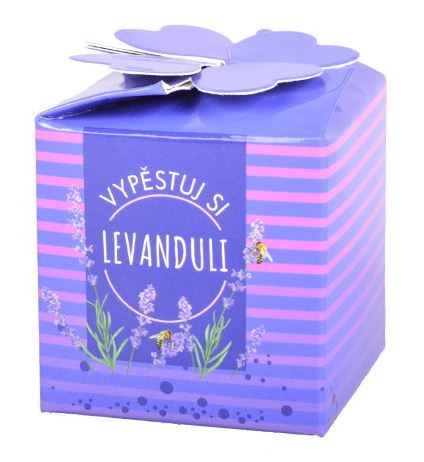 Set Vypěstuj si levanduli